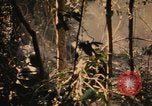Image of Operation Big Spring Bien Hoa Vietnam, 1967, second 57 stock footage video 65675035376