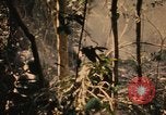 Image of Operation Big Spring Bien Hoa Vietnam, 1967, second 58 stock footage video 65675035376