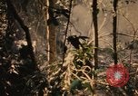 Image of Operation Big Spring Bien Hoa Vietnam, 1967, second 59 stock footage video 65675035376