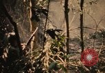 Image of Operation Big Spring Bien Hoa Vietnam, 1967, second 60 stock footage video 65675035376