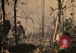 Image of Operation Big Spring Bien Hoa Vietnam, 1967, second 61 stock footage video 65675035376