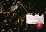Image of Operation Big Spring Bien Hoa Vietnam, 1967, second 3 stock footage video 65675035377