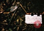 Image of Operation Big Spring Bien Hoa Vietnam, 1967, second 5 stock footage video 65675035377