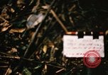 Image of Operation Big Spring Bien Hoa Vietnam, 1967, second 7 stock footage video 65675035377