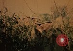 Image of Operation Big Spring Bien Hoa Vietnam, 1967, second 14 stock footage video 65675035377
