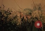 Image of Operation Big Spring Bien Hoa Vietnam, 1967, second 17 stock footage video 65675035377