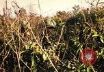 Image of Operation Big Spring Bien Hoa Vietnam, 1967, second 23 stock footage video 65675035377