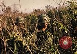 Image of Operation Big Spring Bien Hoa Vietnam, 1967, second 24 stock footage video 65675035377