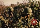 Image of Operation Big Spring Bien Hoa Vietnam, 1967, second 25 stock footage video 65675035377