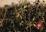 Image of Operation Big Spring Bien Hoa Vietnam, 1967, second 30 stock footage video 65675035377