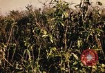 Image of Operation Big Spring Bien Hoa Vietnam, 1967, second 31 stock footage video 65675035377