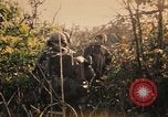 Image of Operation Big Spring Bien Hoa Vietnam, 1967, second 33 stock footage video 65675035377