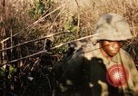 Image of Operation Big Spring Bien Hoa Vietnam, 1967, second 50 stock footage video 65675035377