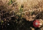 Image of Operation Big Spring Bien Hoa Vietnam, 1967, second 51 stock footage video 65675035377