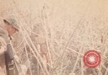 Image of Operation Big Spring Bien Hoa Vietnam, 1967, second 52 stock footage video 65675035377