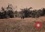 Image of Operation Big Spring Bien Hoa Vietnam, 1967, second 50 stock footage video 65675035379