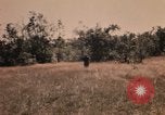 Image of Operation Big Spring Bien Hoa Vietnam, 1967, second 51 stock footage video 65675035379