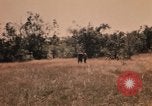 Image of Operation Big Spring Bien Hoa Vietnam, 1967, second 52 stock footage video 65675035379