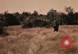 Image of Operation Big Spring Bien Hoa Vietnam, 1967, second 56 stock footage video 65675035379