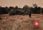 Image of Operation Big Spring Bien Hoa Vietnam, 1967, second 57 stock footage video 65675035379