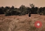 Image of Operation Big Spring Bien Hoa Vietnam, 1967, second 59 stock footage video 65675035379