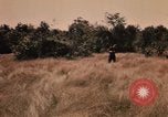 Image of Operation Big Spring Bien Hoa Vietnam, 1967, second 60 stock footage video 65675035379