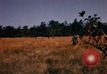 Image of Operation Big Spring Bien Hoa Vietnam, 1967, second 22 stock footage video 65675035380