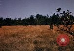 Image of Operation Big Spring Bien Hoa Vietnam, 1967, second 25 stock footage video 65675035380
