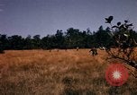 Image of Operation Big Spring Bien Hoa Vietnam, 1967, second 26 stock footage video 65675035380