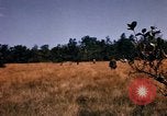 Image of Operation Big Spring Bien Hoa Vietnam, 1967, second 27 stock footage video 65675035380