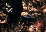 Image of Operation Big Spring Bien Hoa Vietnam, 1967, second 30 stock footage video 65675035380