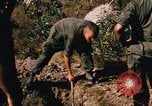 Image of US troops digging foxholes during Operation Big Spring  Vietnam, 1967, second 11 stock footage video 65675035381