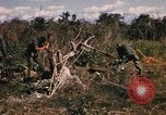 Image of US troops digging foxholes during Operation Big Spring  Vietnam, 1967, second 16 stock footage video 65675035381