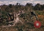 Image of US troops digging foxholes during Operation Big Spring  Vietnam, 1967, second 17 stock footage video 65675035381