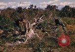 Image of US troops digging foxholes during Operation Big Spring  Vietnam, 1967, second 19 stock footage video 65675035381