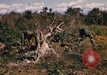 Image of US troops digging foxholes during Operation Big Spring  Vietnam, 1967, second 20 stock footage video 65675035381