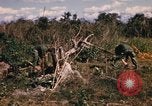 Image of US troops digging foxholes during Operation Big Spring  Vietnam, 1967, second 22 stock footage video 65675035381