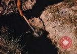 Image of US troops digging foxholes during Operation Big Spring  Vietnam, 1967, second 23 stock footage video 65675035381