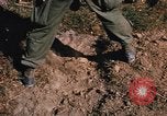 Image of US troops digging foxholes during Operation Big Spring  Vietnam, 1967, second 27 stock footage video 65675035381
