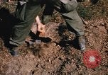 Image of US troops digging foxholes during Operation Big Spring  Vietnam, 1967, second 30 stock footage video 65675035381