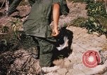 Image of US troops digging foxholes during Operation Big Spring  Vietnam, 1967, second 48 stock footage video 65675035381