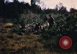 Image of US troops digging foxholes during Operation Big Spring  Vietnam, 1967, second 61 stock footage video 65675035381