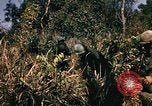 Image of Operation Big Spring Bien Hoa Vietnam, 1967, second 4 stock footage video 65675035383