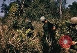 Image of Operation Big Spring Bien Hoa Vietnam, 1967, second 6 stock footage video 65675035383
