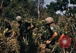 Image of Operation Big Spring Bien Hoa Vietnam, 1967, second 10 stock footage video 65675035383