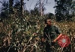 Image of Operation Big Spring Bien Hoa Vietnam, 1967, second 11 stock footage video 65675035383