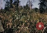 Image of Operation Big Spring Bien Hoa Vietnam, 1967, second 13 stock footage video 65675035383