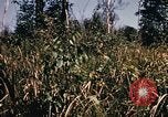 Image of Operation Big Spring Bien Hoa Vietnam, 1967, second 14 stock footage video 65675035383