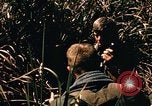 Image of Operation Big Spring Bien Hoa Vietnam, 1967, second 15 stock footage video 65675035383