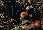 Image of Operation Big Spring Bien Hoa Vietnam, 1967, second 16 stock footage video 65675035383